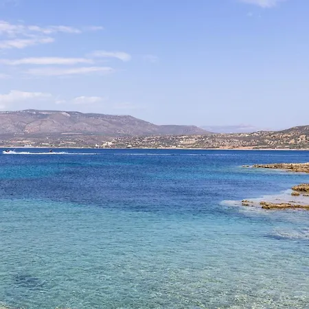 Aloustina * Archangelos (Laconia)